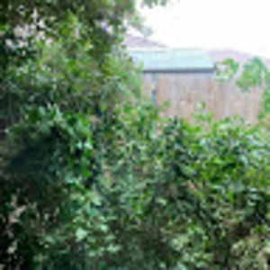 Meet your Posher, Jing